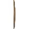 Ekena Millwork Raynor Ceiling Medallion (Fits Canopies up to 6"), Hand-Painted Rubbed Bronze, 20 5/8"OD x 1 3/8"P CM20BERZS - alternate 5